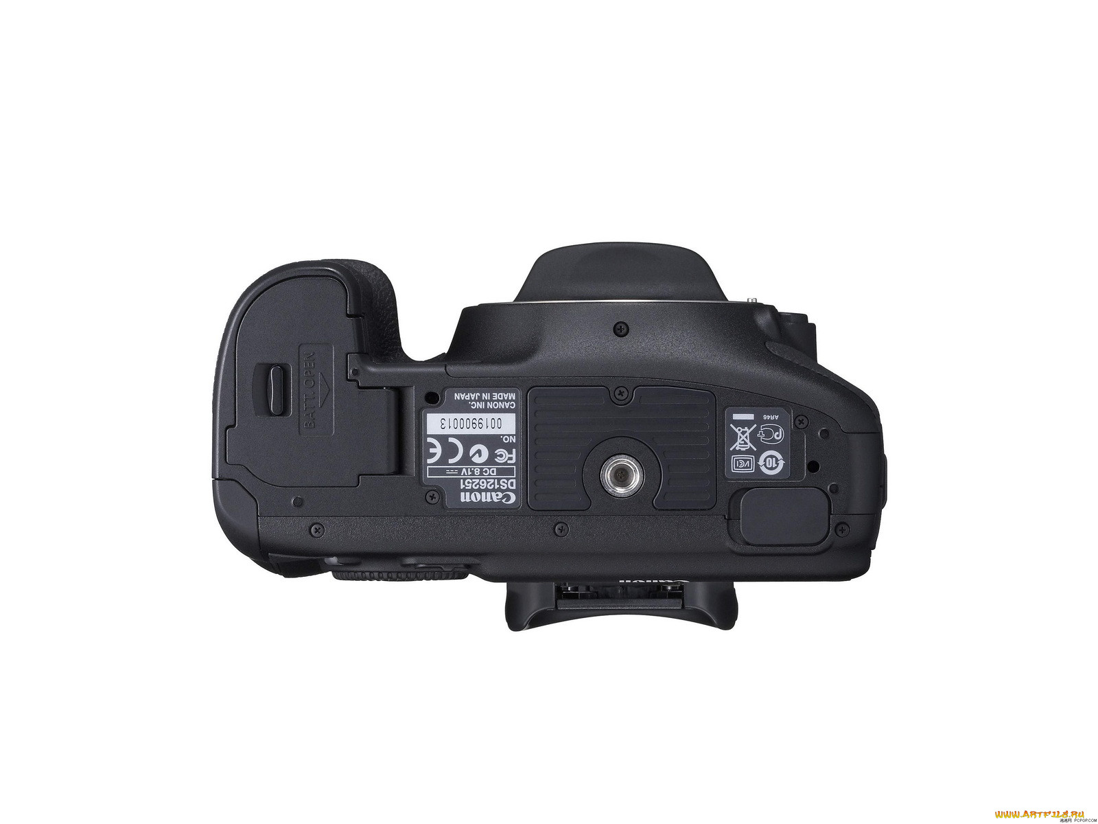 , canon